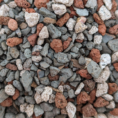 Bonsai Outlet Tinyroots 2.5 gallon bag ready for all bonsai varieties