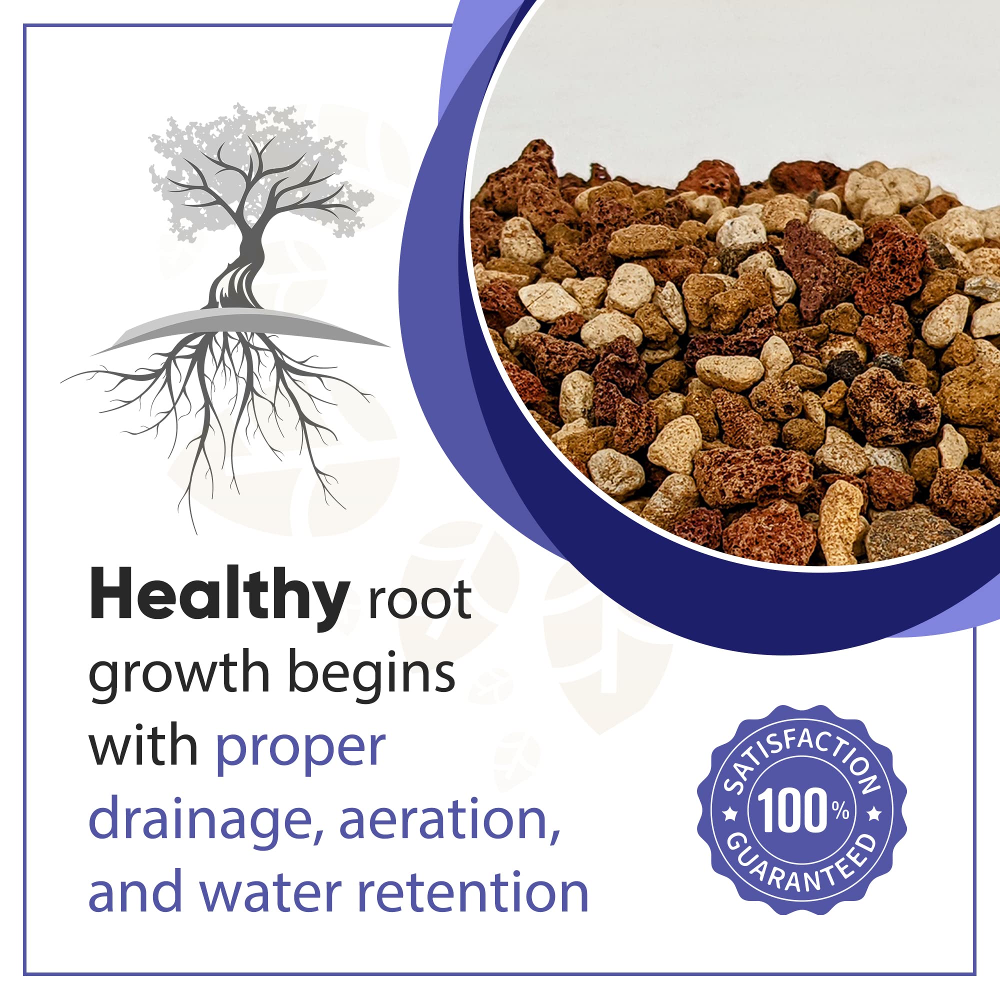Closeup of Tinyroots soil texture shows even moisture distribution for bonsai care
