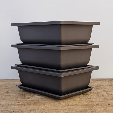 Bonsai Outlet weather-resistant pots keep color through rain, snow, and sun.