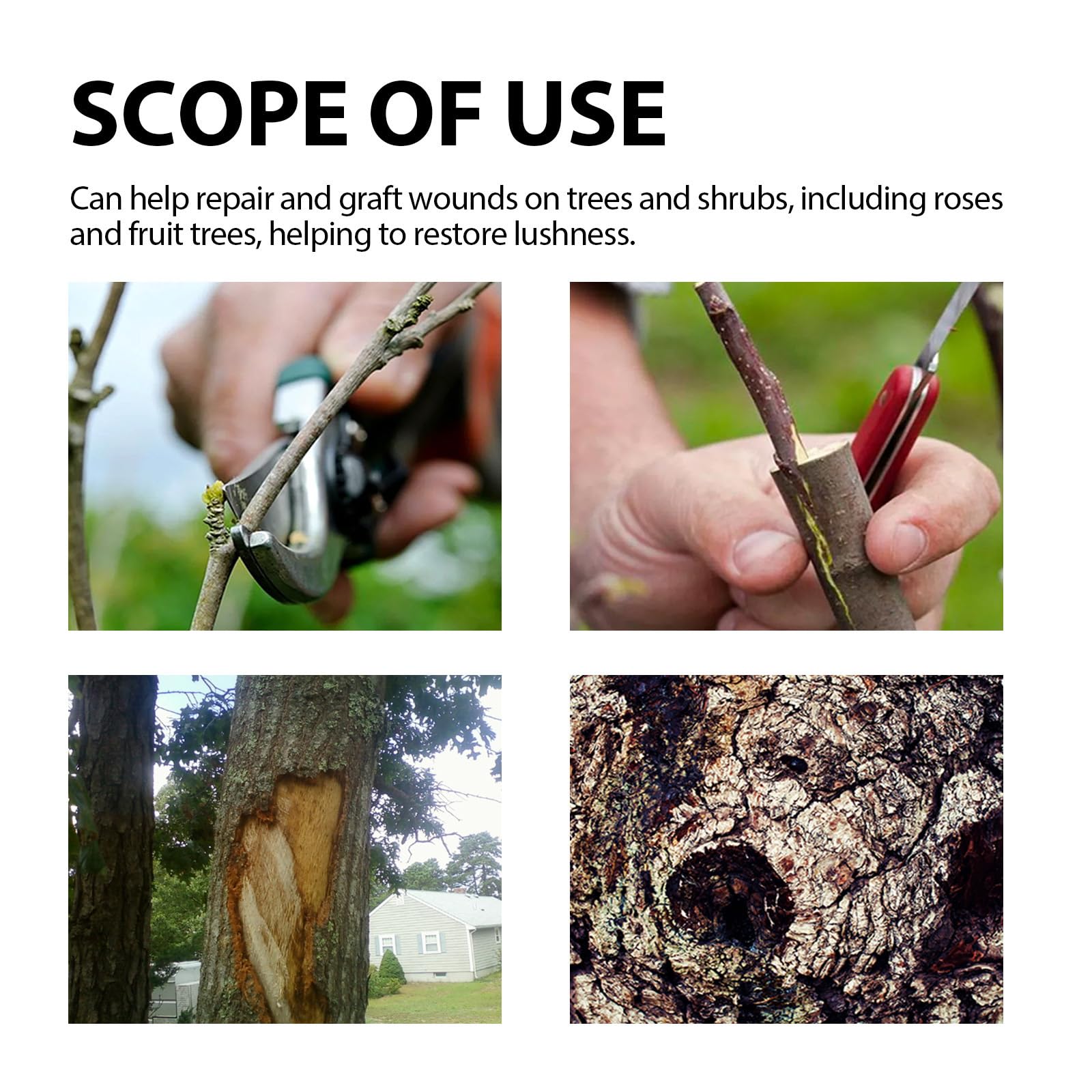 Bonsai Pruning Sealer covering a cut wound on a branch.