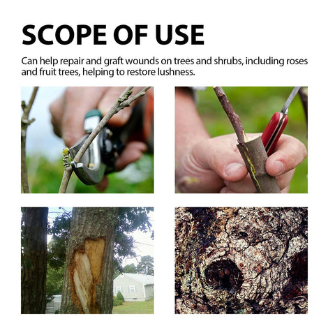 Bonsai Pruning Sealer covering a cut wound on a branch.
