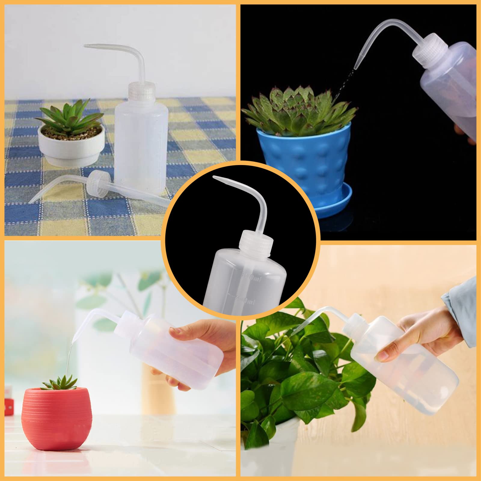 Bonsicoky indoor plant watering application demonstrated