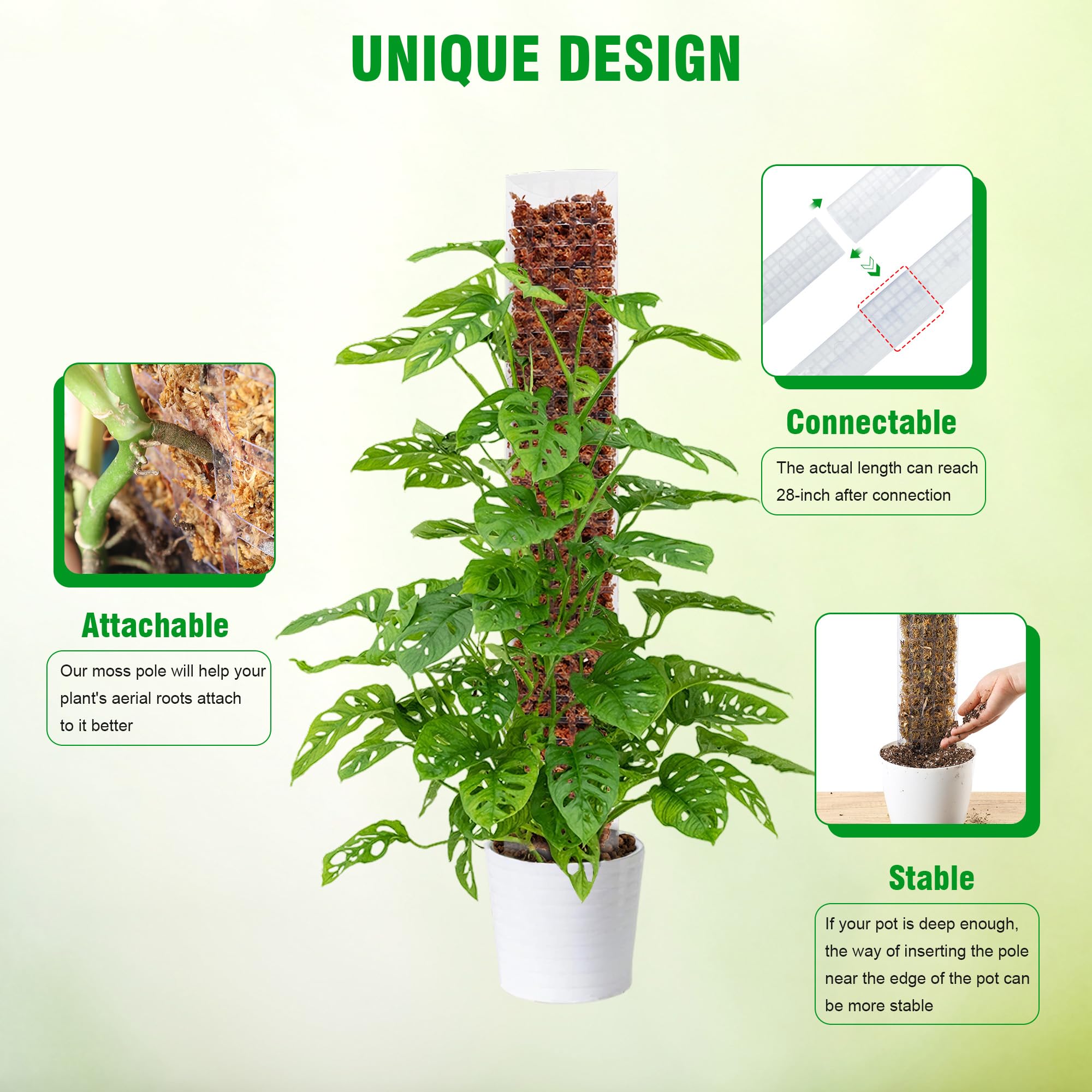 Bonviee 15-inch D-shaped moss pole front view ready to guide climbers.