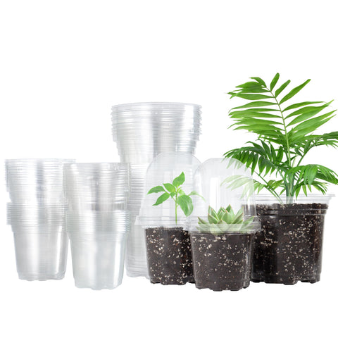 Bonviee 3.5-inch clear nursery pot with dome and holes for healthy drainage