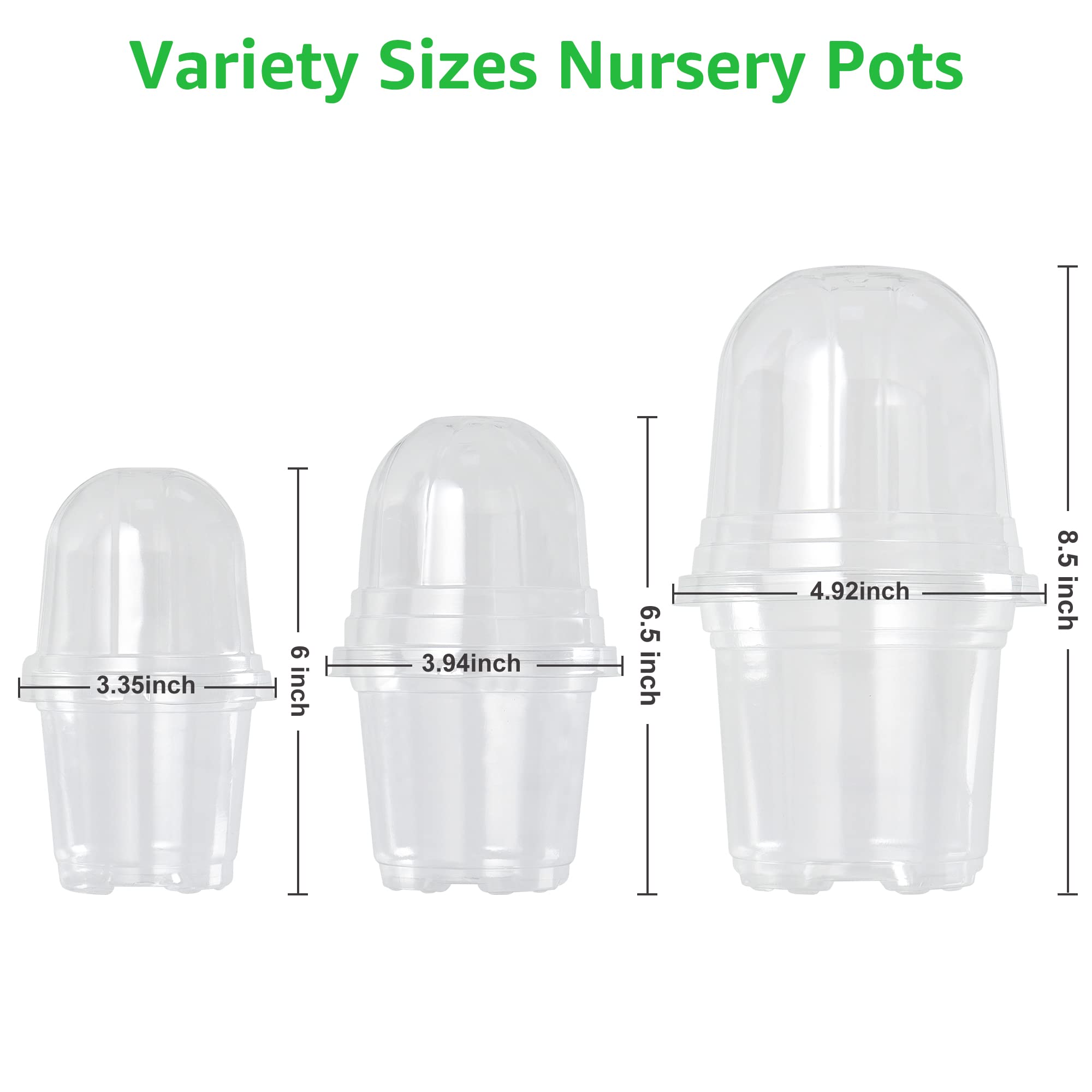 Bonviee 4-inch clear nursery pot with dome supports seedling germination