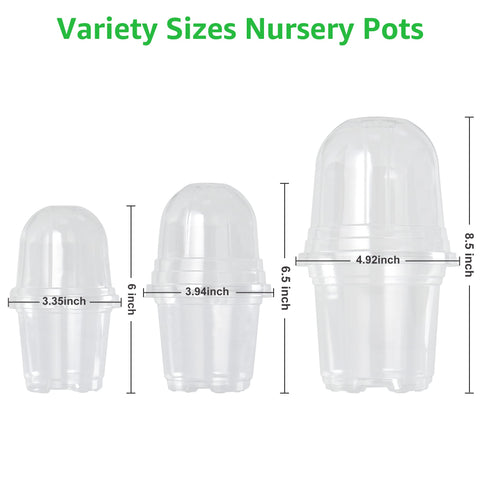 Bonviee 4-inch clear nursery pot with dome supports seedling germination