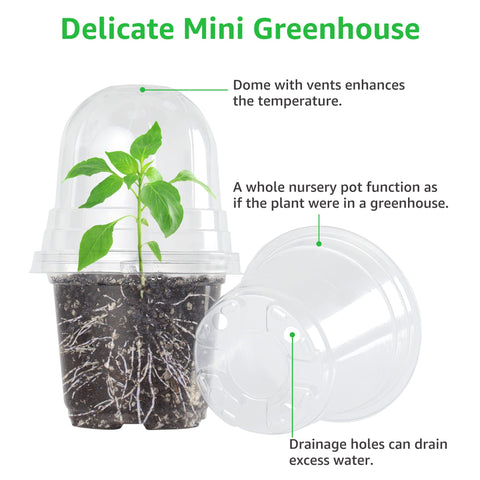 Bonviee 5-inch clear nursery pot with dome promotes root growth and warmth