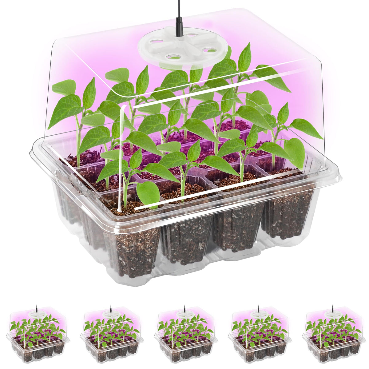Bonviee seed starter tray with grow light for efficient indoor germination