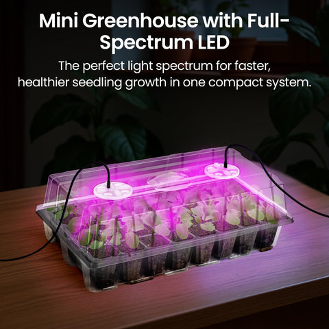 Bonviee all-in-one gardening kit ready for indoor seed starting