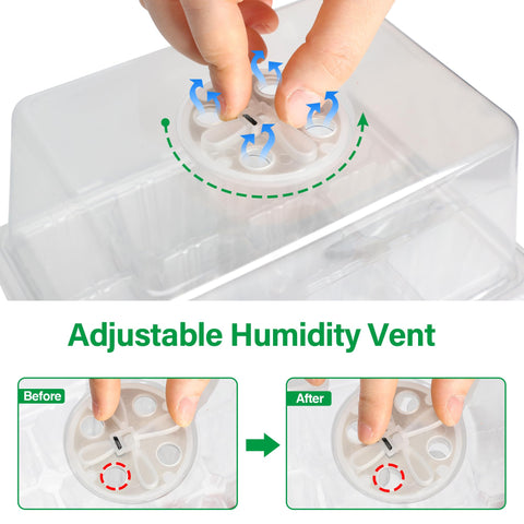 Bonviee clear base tray helps observe root and shoot development
