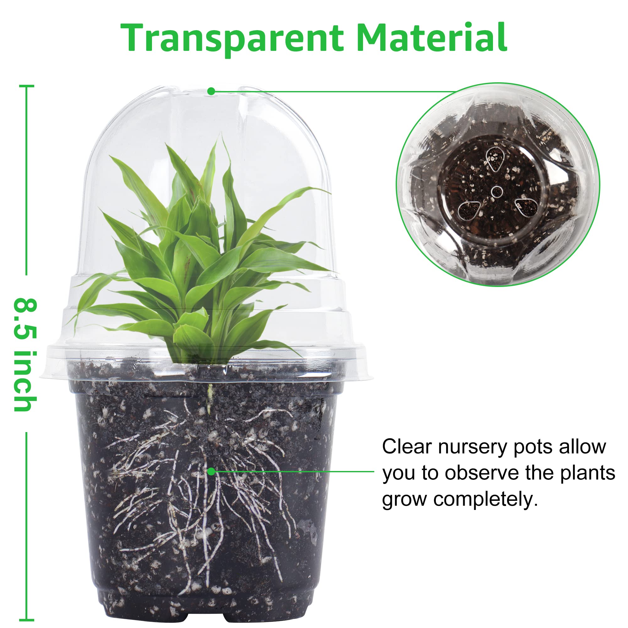 Bonviee clear nursery pot close-up showing drainage holes and transparency