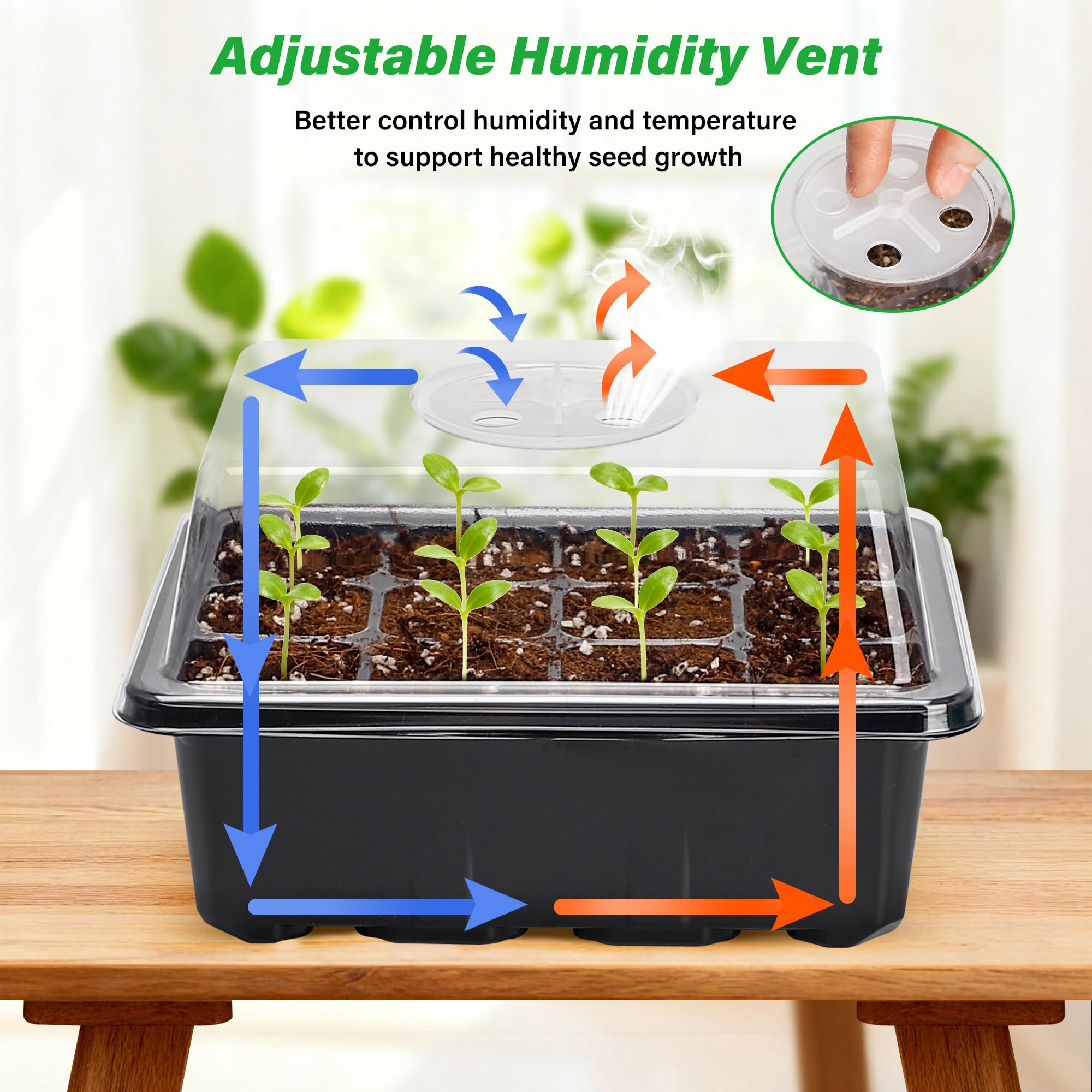 Bonviee clear view tray lets you monitor seedlings without disturbance.