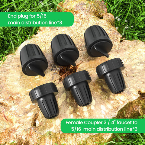 Bonviee packaging shows a 6-pack with adapters and plugs