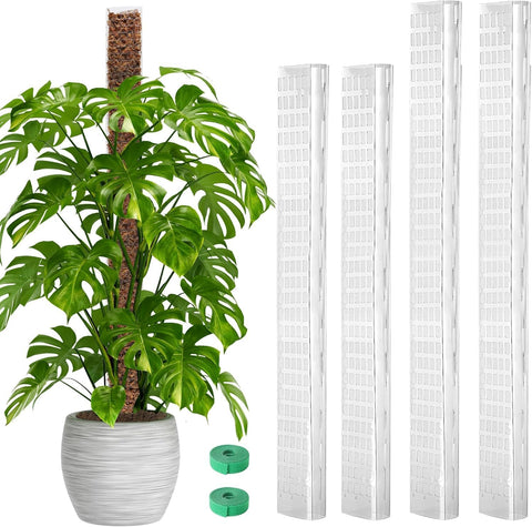 Bonviee D-shape moss pole 24-inch in pot supports tall climbing plants.