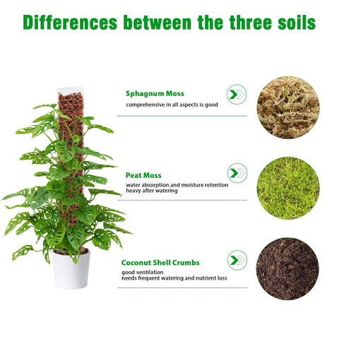 Bonviee flat semi-cylindrical moss pole design for secure root attachment