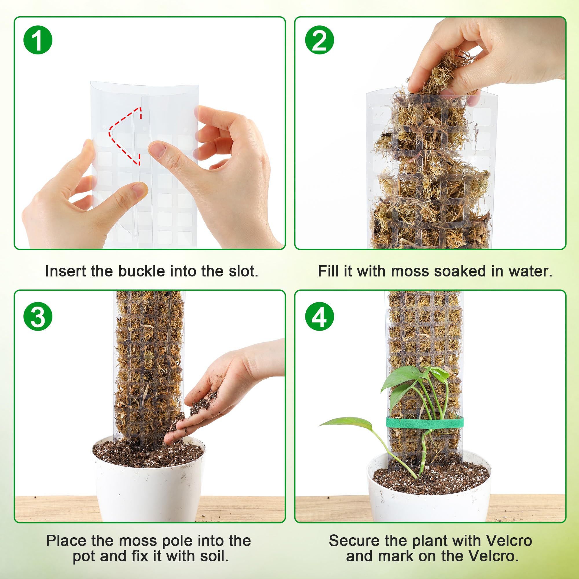Bonviee garden ties included for secure stem attachment and climbing setup.