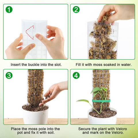 Bonviee garden ties included for secure stem attachment and climbing setup.