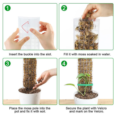 Bonviee garden ties included to secure stems for stable growth.