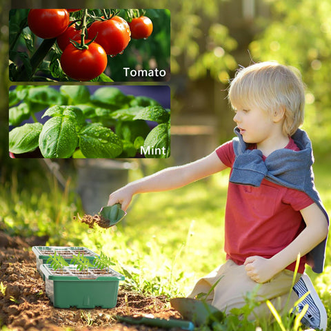 Bonviee greenhouse-ready tray system supports thriving seedlings