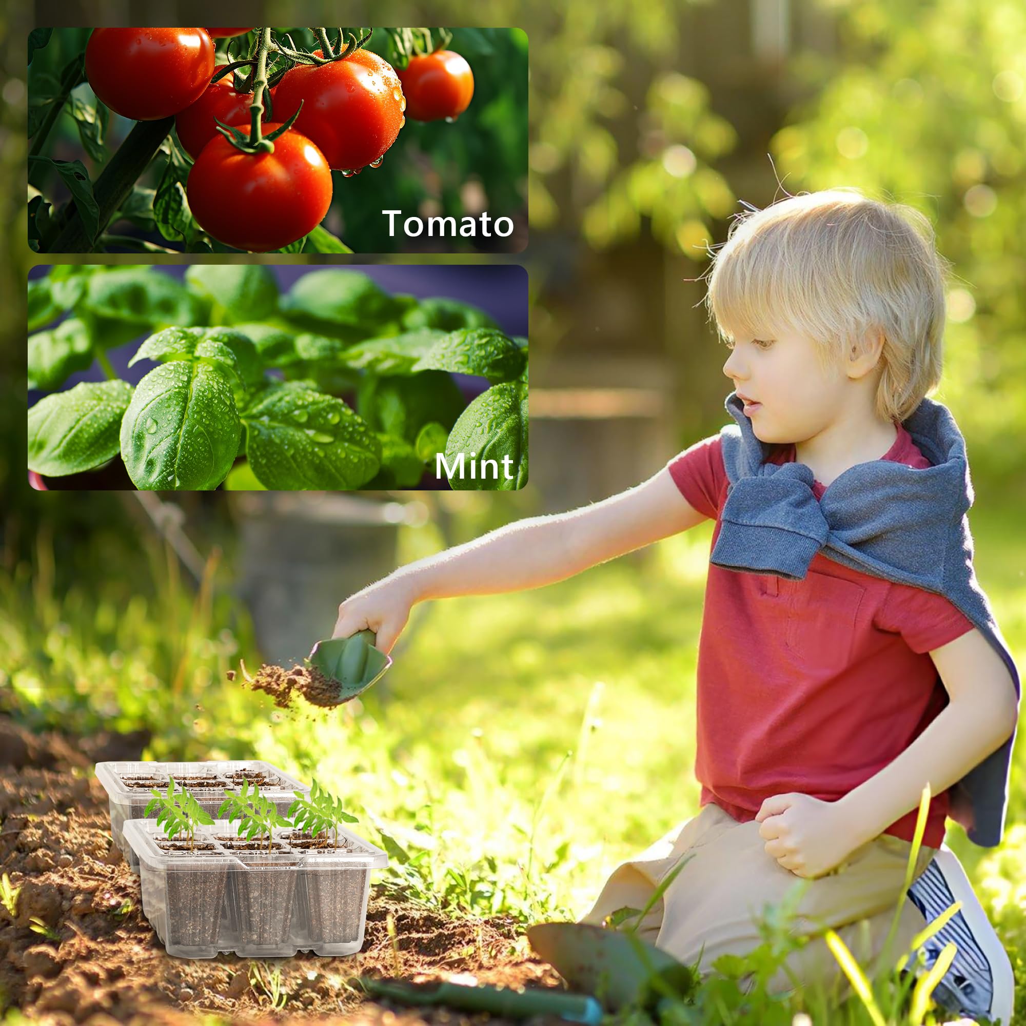 Bonviee greenhouse-ready seed starter tray design supports thriving seedlings.