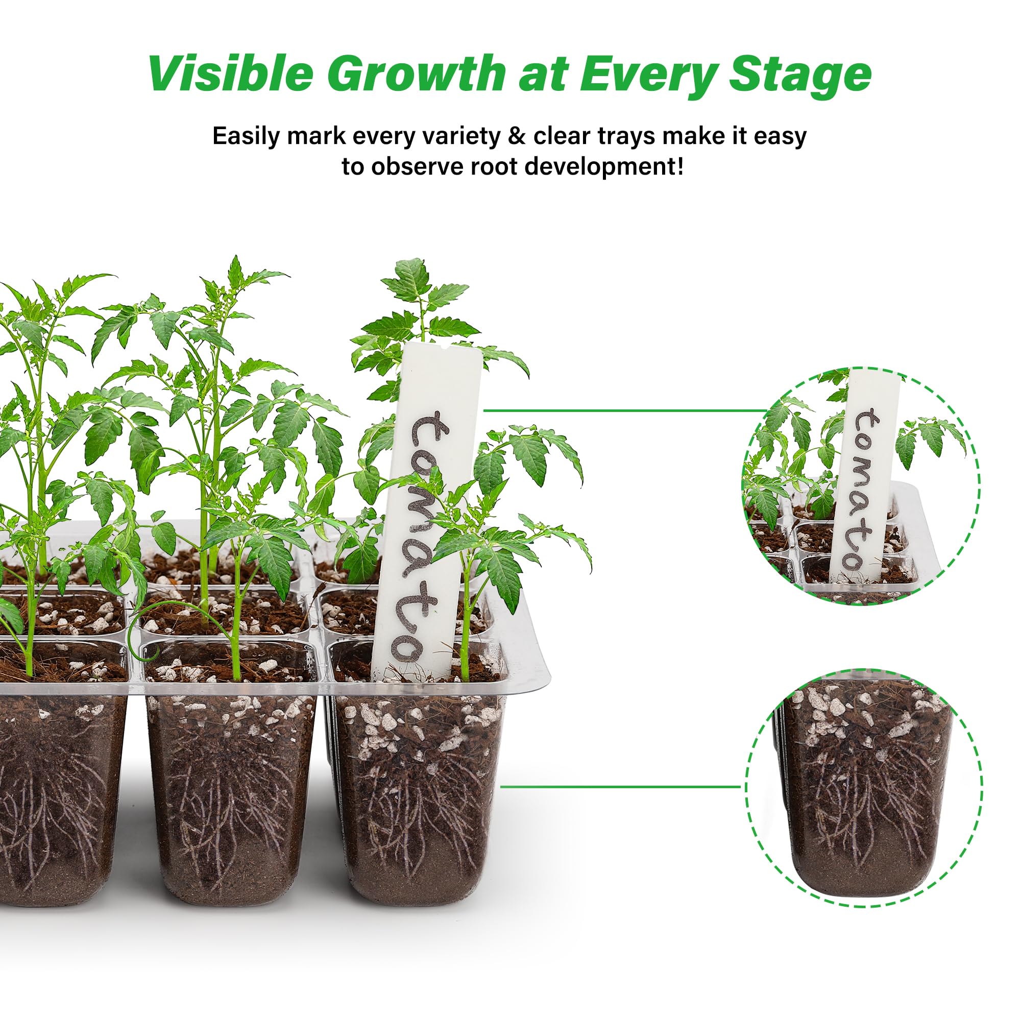 Bonviee seed trays compatible with heat mat for stable temperatures