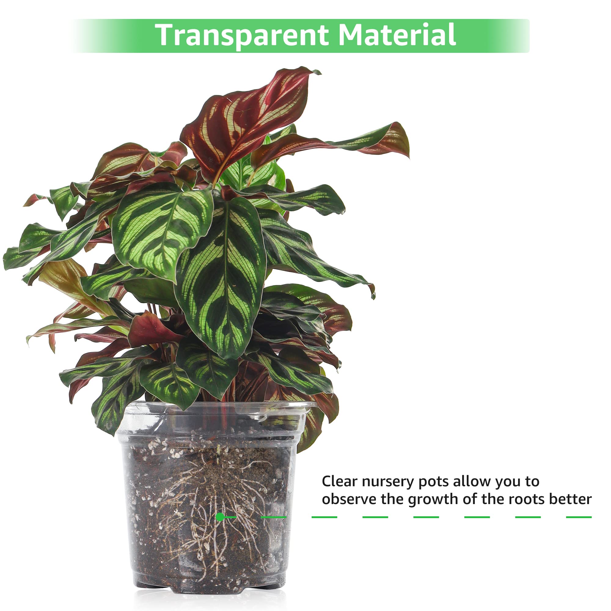 Bonviee plant labels included help organize seed varieties.