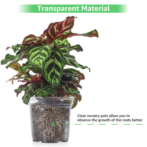 Bonviee plant labels included help organize seed varieties.