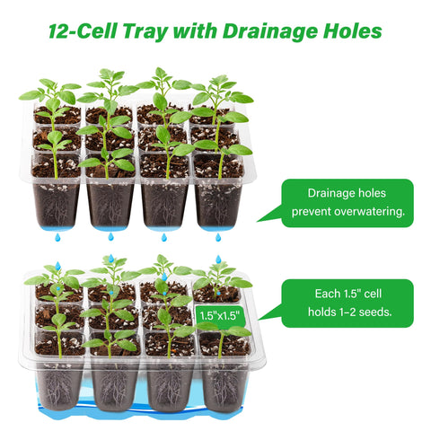 Bonviee indoor germination setup fits on windowsills and under grow lights.