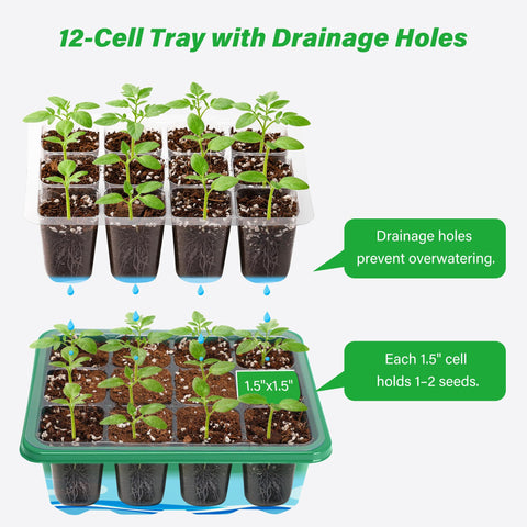 Bonviee indoor greenhouse propagator for compact home germination space