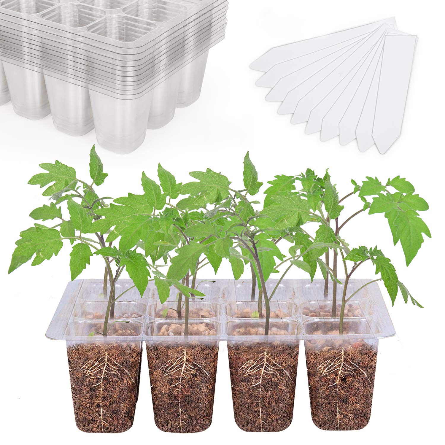 Bonviee seed starter tray with 12-cell layout for visible root growth