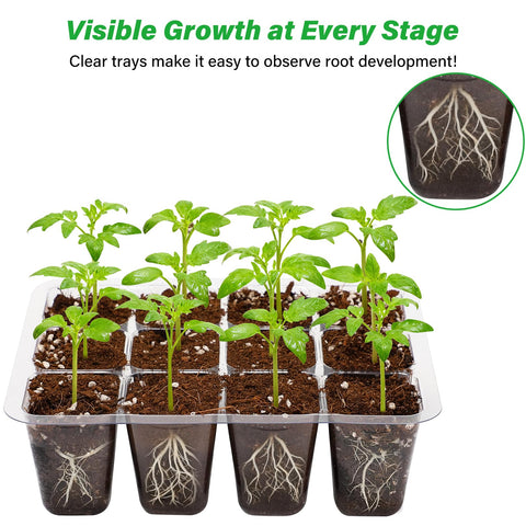 Bonviee 12-cell tray showing drainage holes to prevent overwatering during seedling care