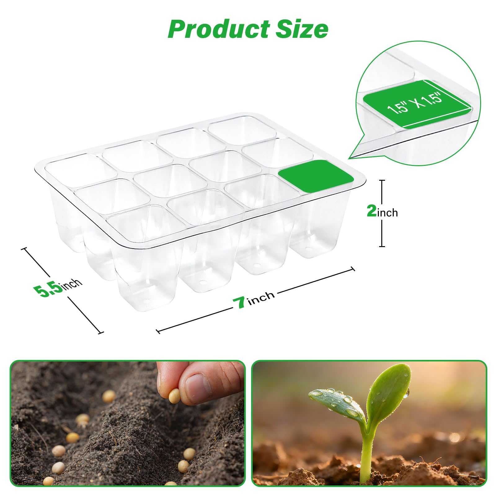 Bonviee seed starter tray transparency enabling nonintrusive root monitoring