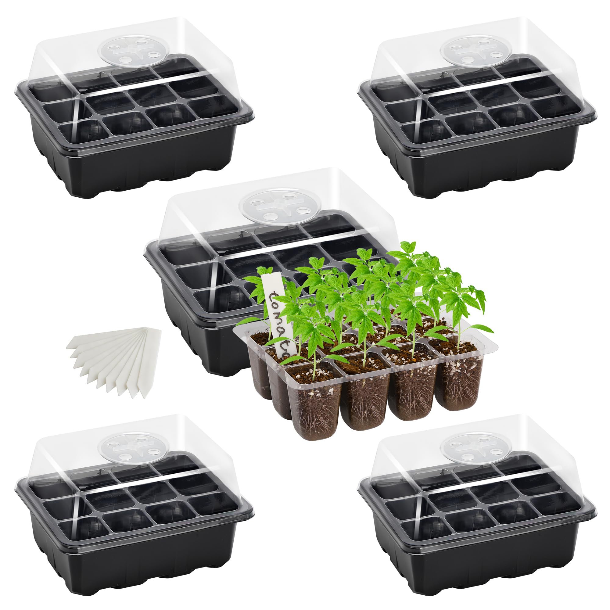 Bonviee seed starter tray with 12 cells for organized germination and root observation.