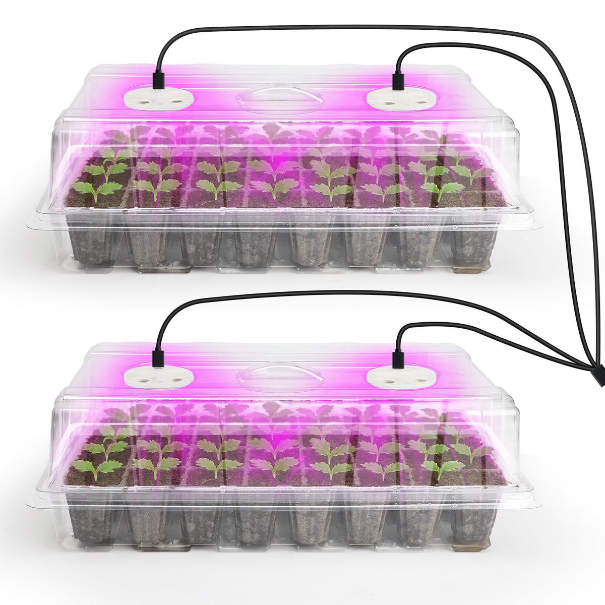 Bonviee seed-starter-tray-2pack showing clear trays ideal for germination and monitoring