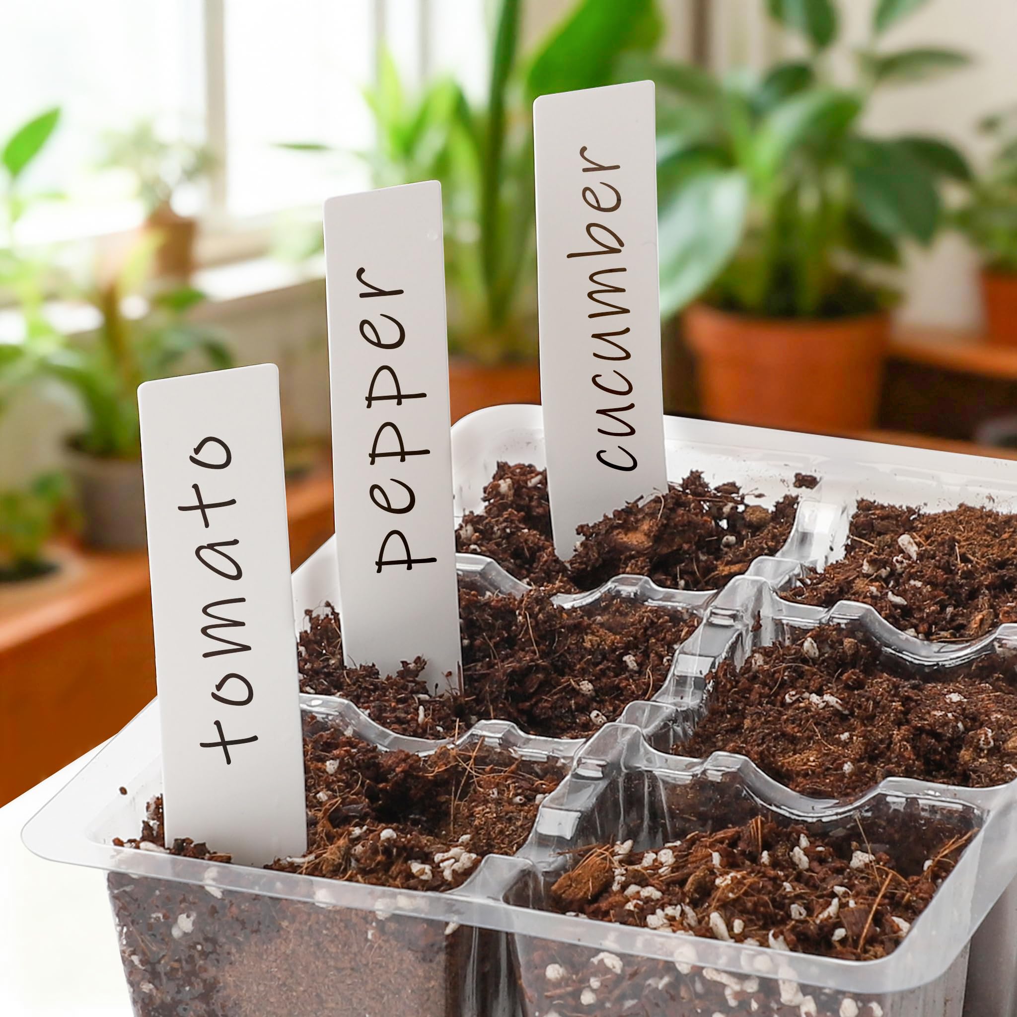 Bonviee seed starter tray close-up of translucent material for root observation.