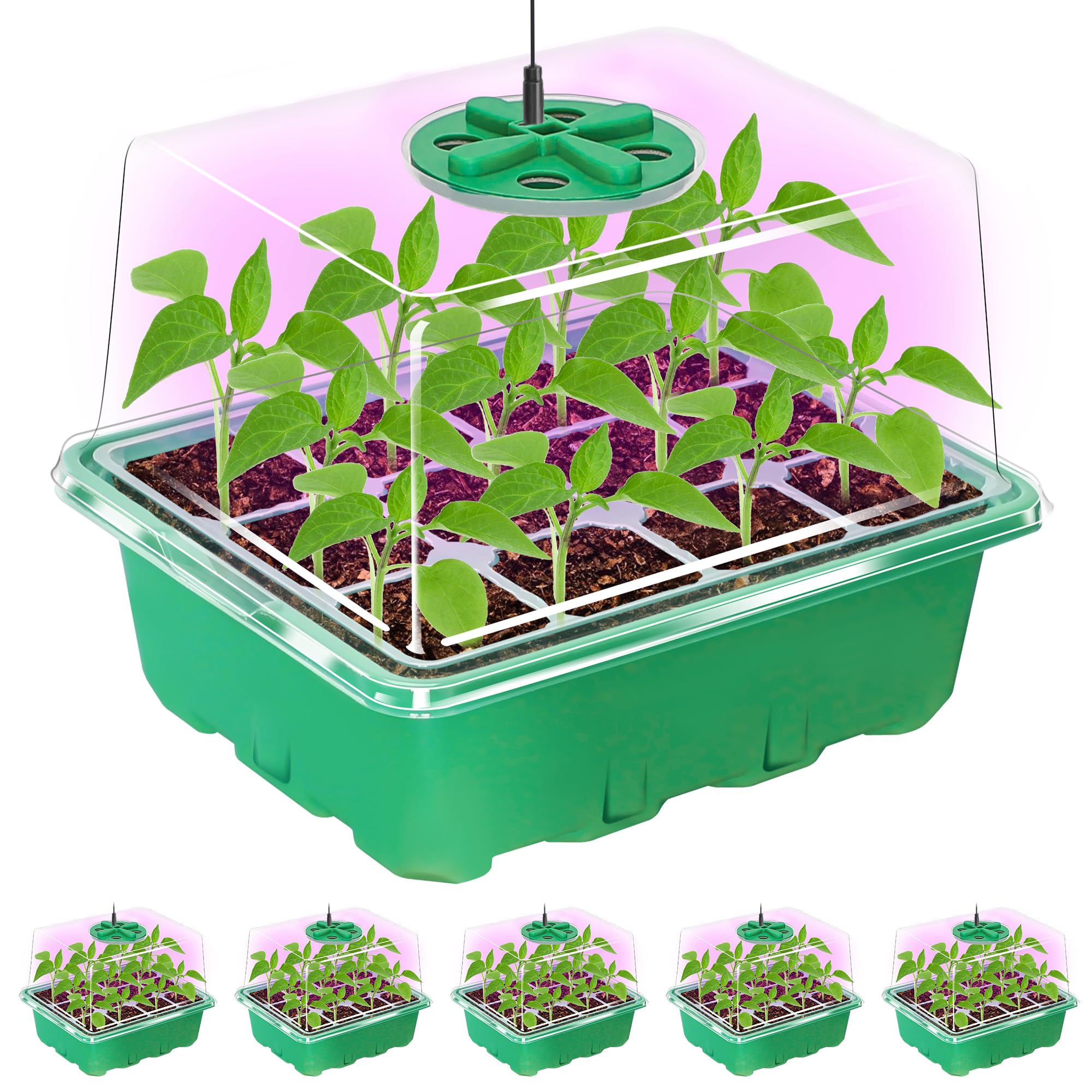 Bonviee seed starter tray with elevated humidity dome supports consistent germination in small spaces