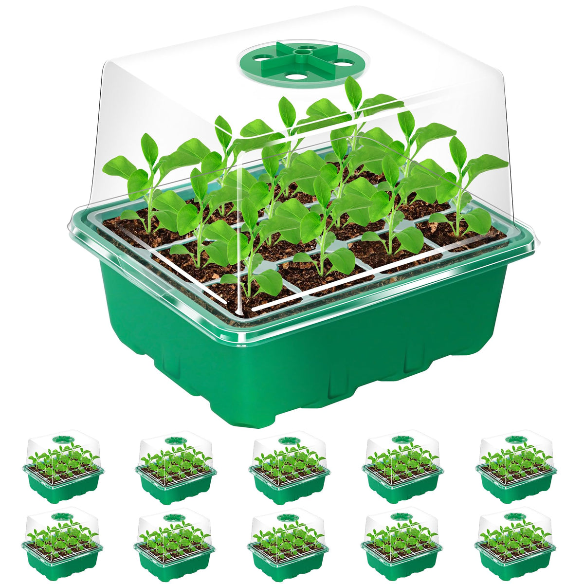 Bonviee seed starter tray with elevated lid and 120 cells for robust germination