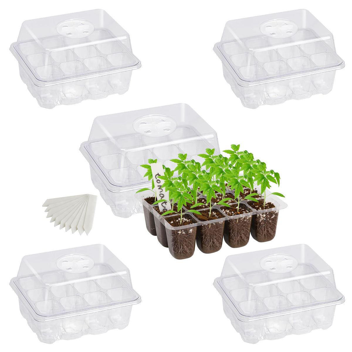 Bonviee seed starter trays 5-pack with 12 cells enable efficient indoor germination.