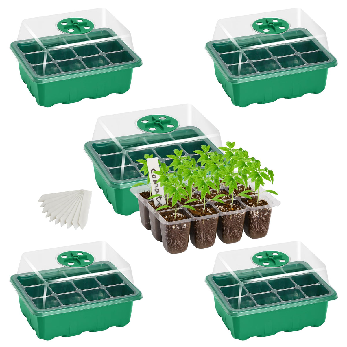 Bonviee 12-cell seed trays in green for easy seed monitoring and growth observation