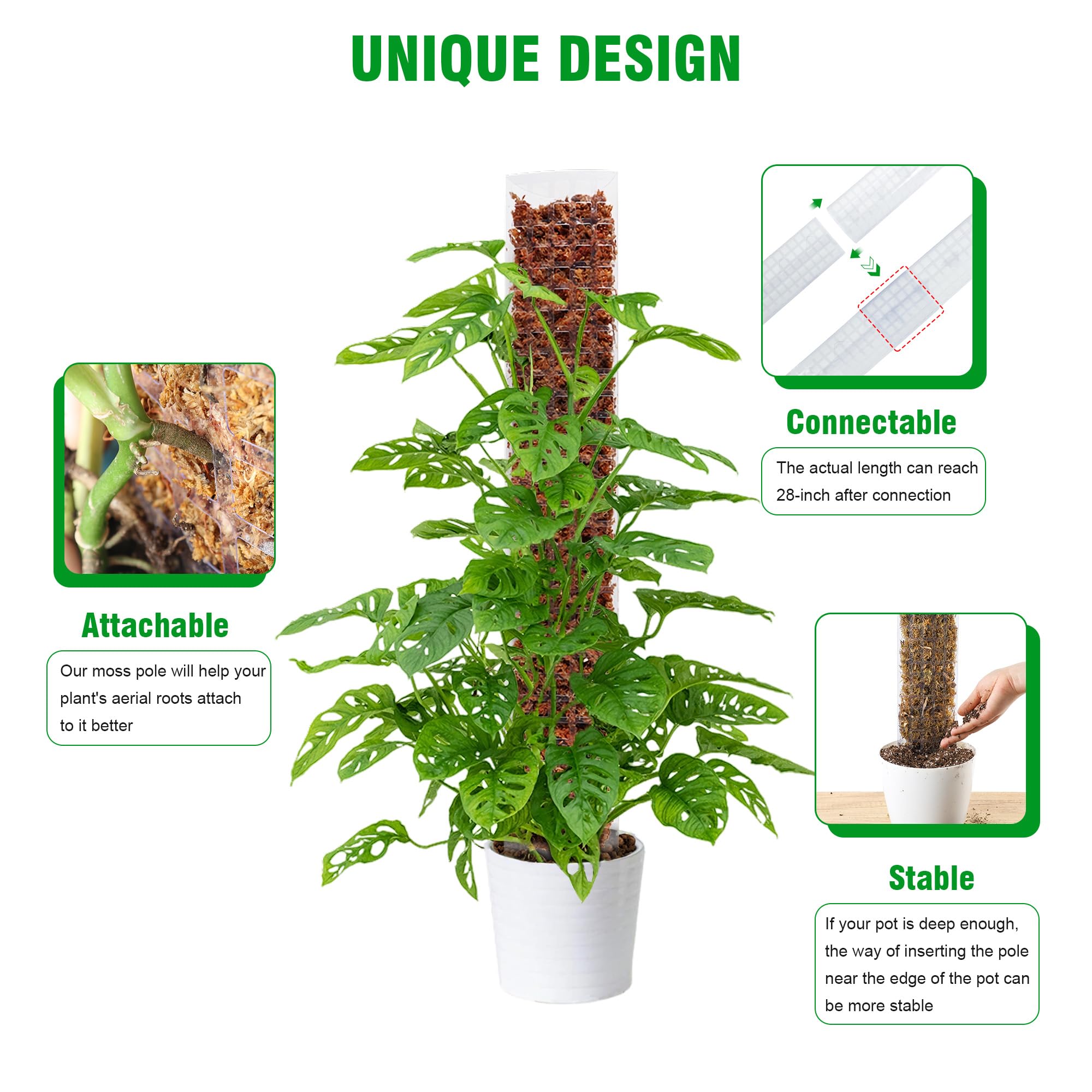 Bonviee moss pole includes sphagnum moss for hydration and nourishment
