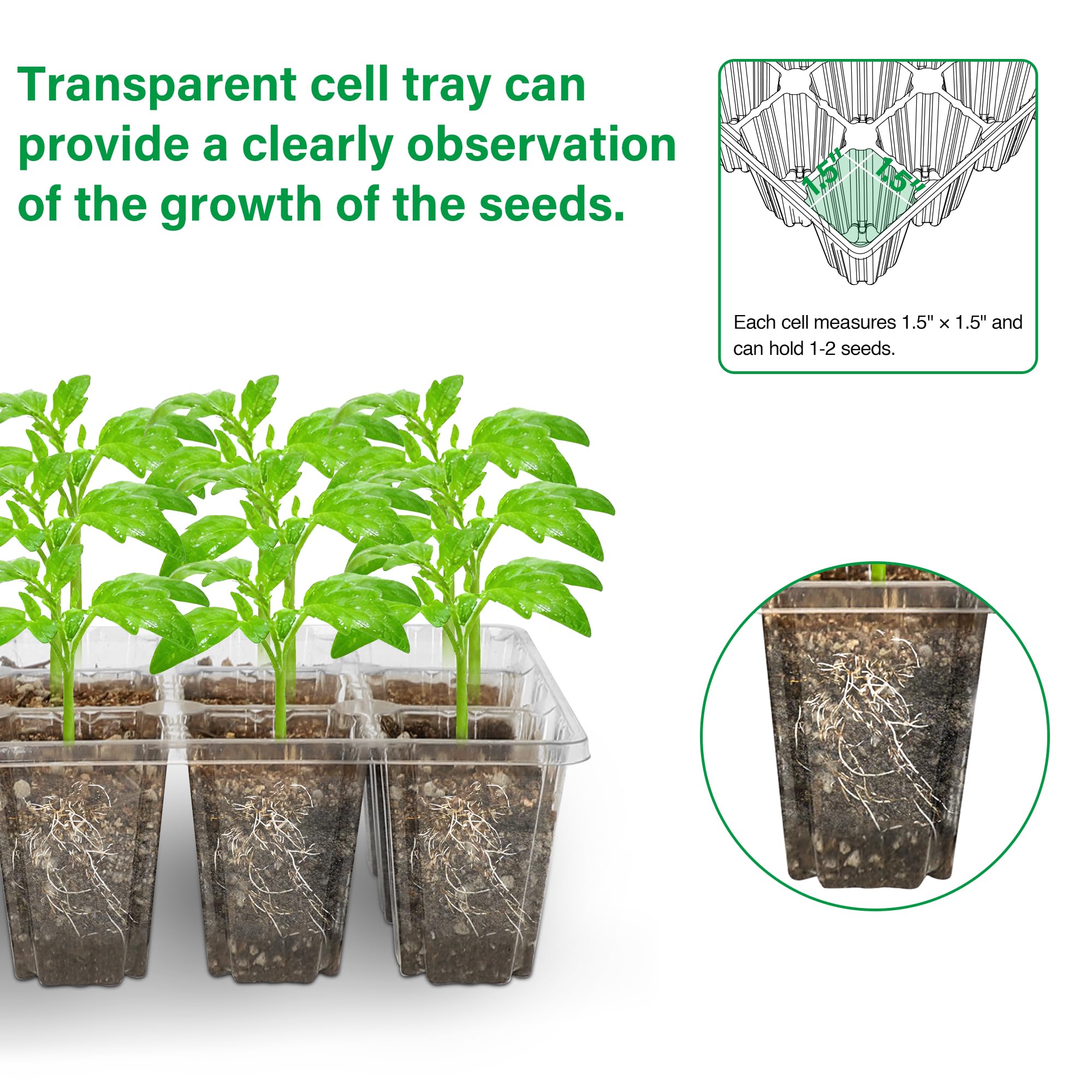 Bonviee thick PVC seed tray built for repeated seasons