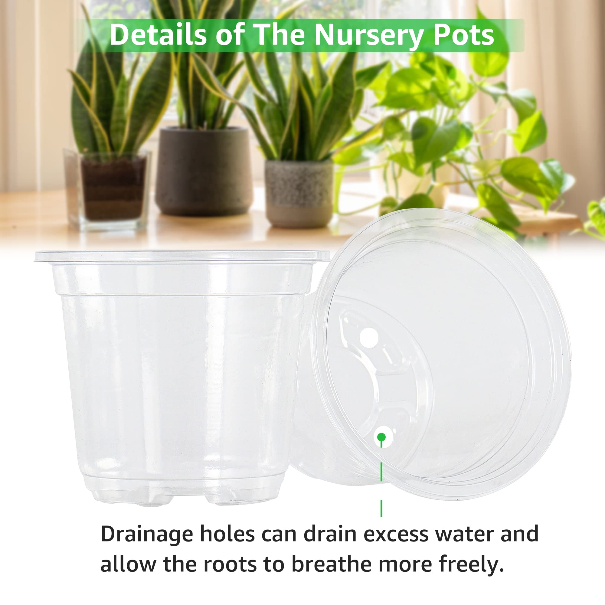 Bonviee transparent seed starting pot helps monitor growth closely.