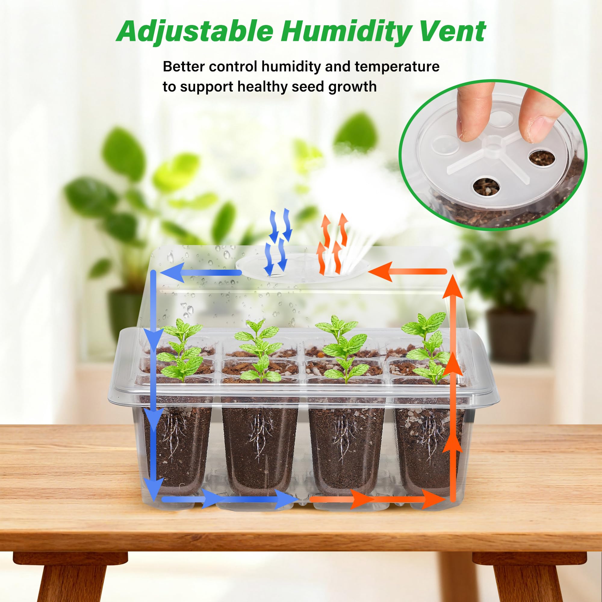 Bonviee transparent seed trays allow root observation without disturbing seedlings.
