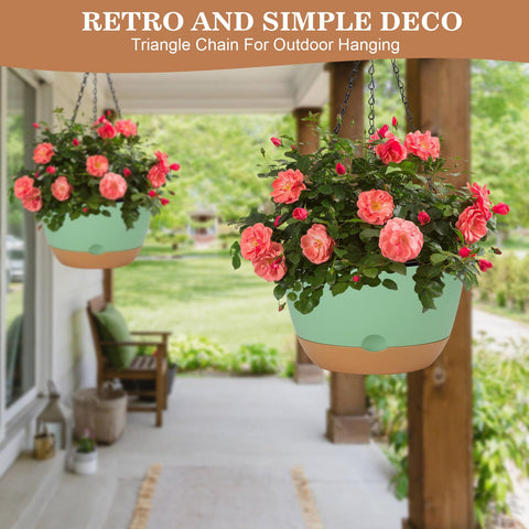 Boochcom removable saucer simplifies watering and cleanups.