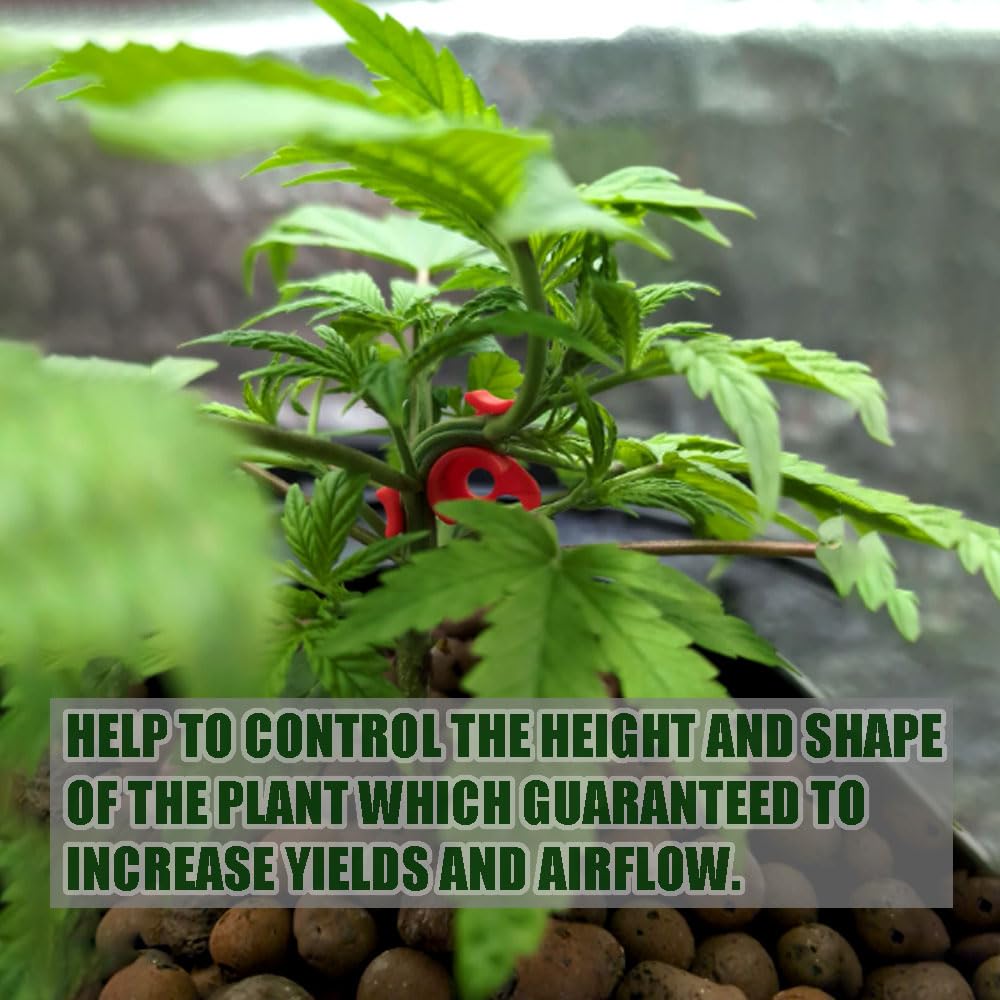 Booge lightweight plastic training clips support long-term plant shaping.