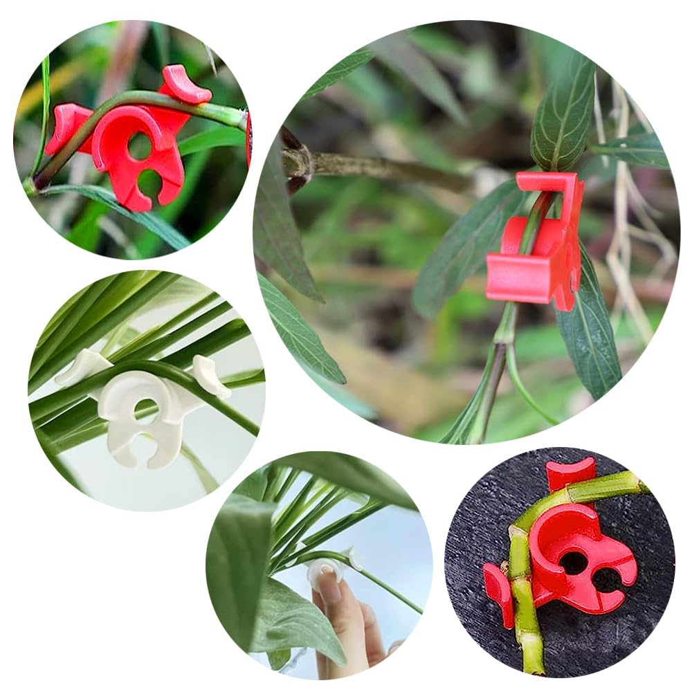 Booge durable outdoor garden clips for versatile training in any setting.