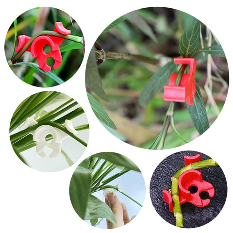 Booge durable outdoor garden clips for versatile training in any setting.