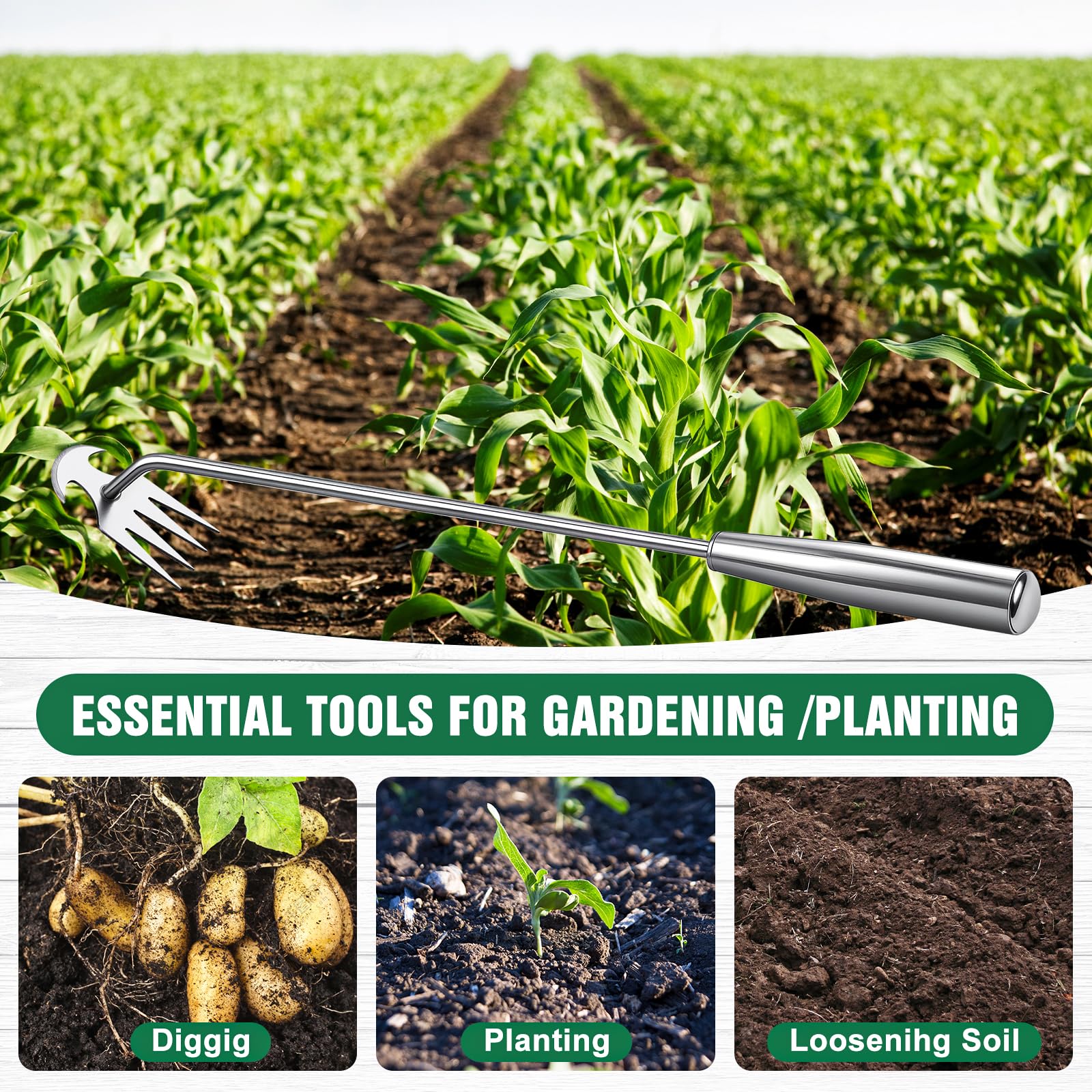 BOOLOOEN crack weeder tool helps tackle stubborn weeds.
