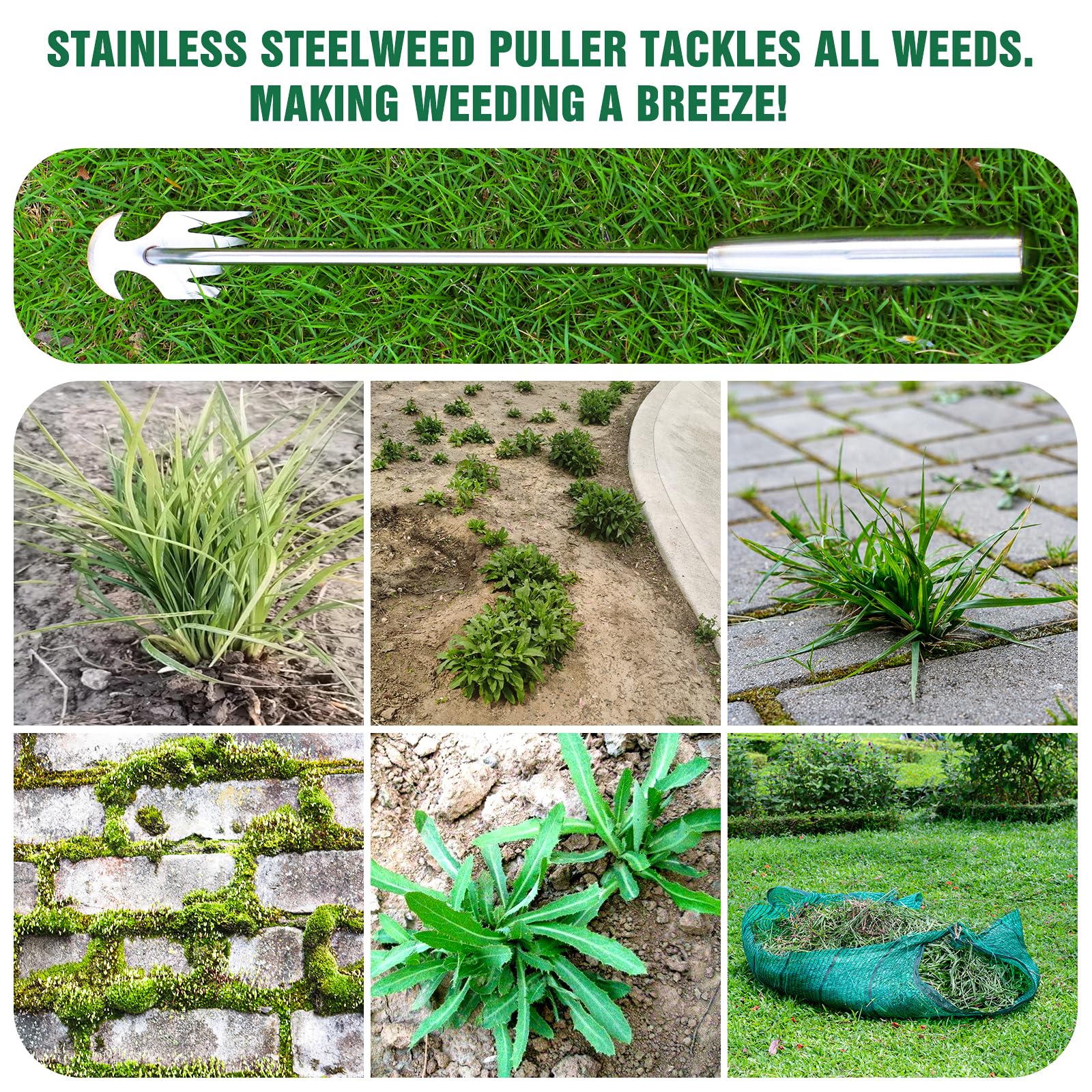 BOOLOOEN weed removal tool targets dandelions and thistles.
