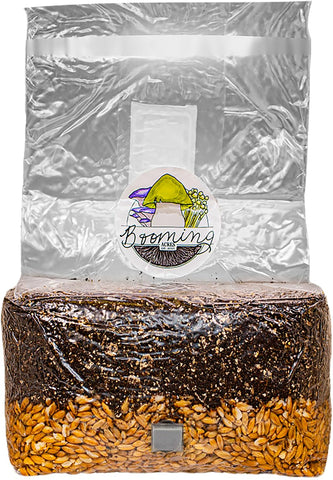 Booming Acres 0.2-micron filter ensures breathable mycelium environment